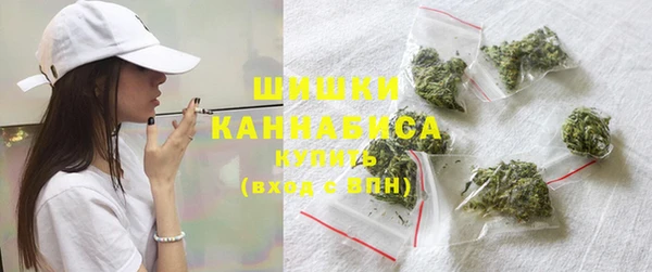 ГАЛЛЮЦИНОГЕННЫЕ ГРИБЫ Горно-Алтайск