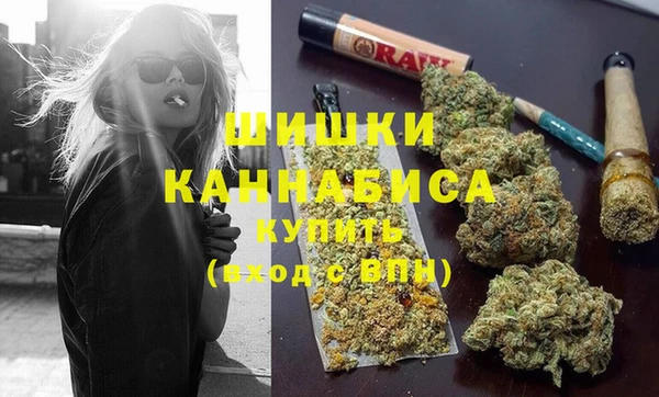 ГАЛЛЮЦИНОГЕННЫЕ ГРИБЫ Горно-Алтайск