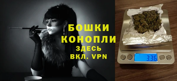 ГАЛЛЮЦИНОГЕННЫЕ ГРИБЫ Горно-Алтайск