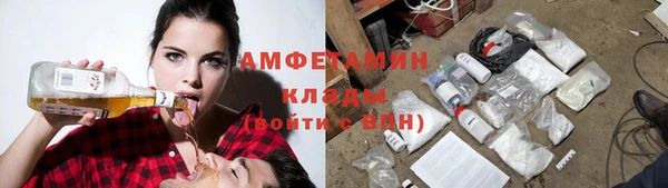 ГАЛЛЮЦИНОГЕННЫЕ ГРИБЫ Горно-Алтайск