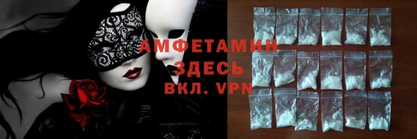 гидра Горнозаводск