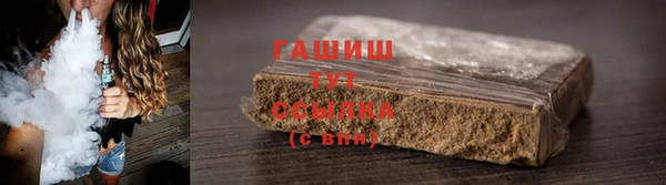 гидра Горнозаводск