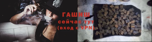 гидра Горнозаводск