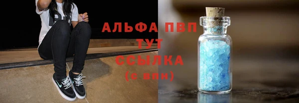 гидра Горнозаводск