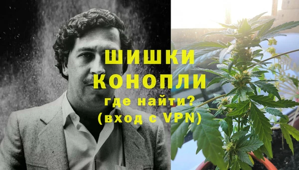 гидра Горнозаводск