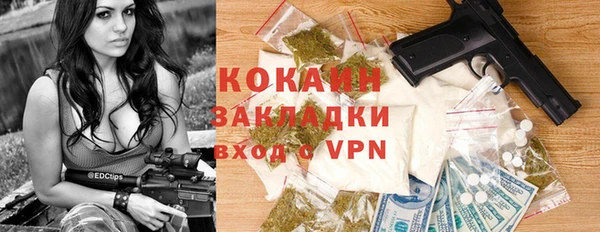 гидра Горнозаводск