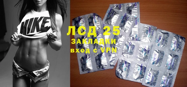 ГАЛЛЮЦИНОГЕННЫЕ ГРИБЫ Горно-Алтайск