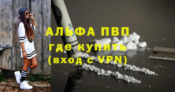 гидра Горнозаводск