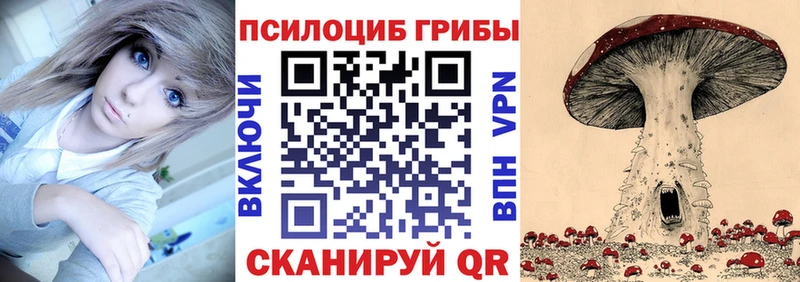 купить наркотики сайты  Городовиковск  Галлюциногенные грибы ЛСД 