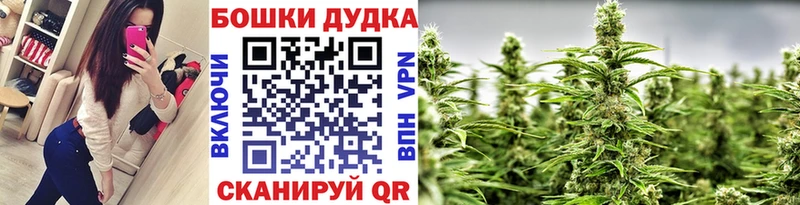 где найти наркотики  Городовиковск  Бошки Шишки семена 